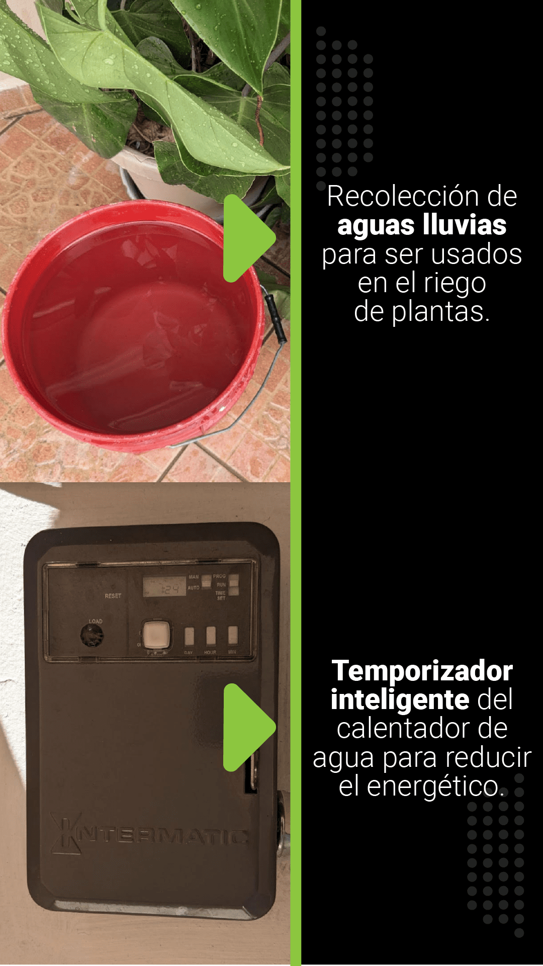 Iniciativas de sostenibilidad EcoSteps ilustrando la recolección de aguas lluvias en un balde rojo para el riego de plantas, y la instalación de un temporizador inteligente en un calentador de agua para reducir el consumo energético.