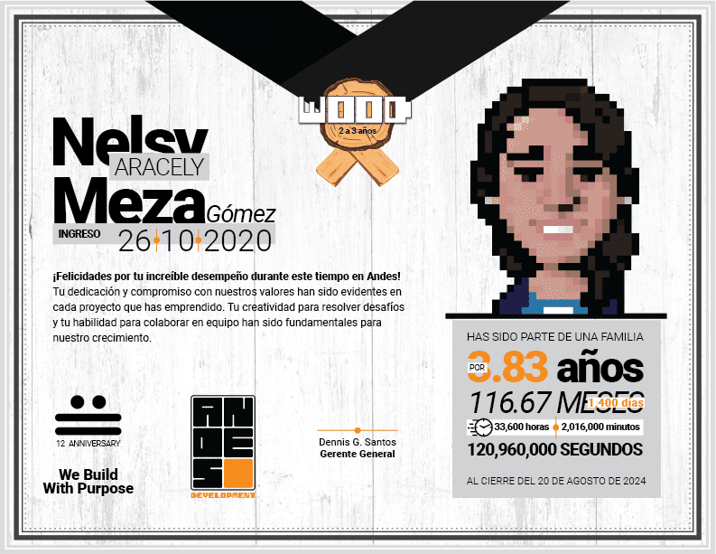Diploma del Premio Wood entregado a Nelsy Aracely Meza Gómez, reconociendo sus 2 a 3 años de labor en Andes Development. Destaca su retrato en pixel art y el mensaje de agradecimiento corporativo firmado por gerencia.